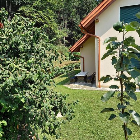 Ferienhaus Manuela Velden am Wörthersee Zewnętrze zdjęcie