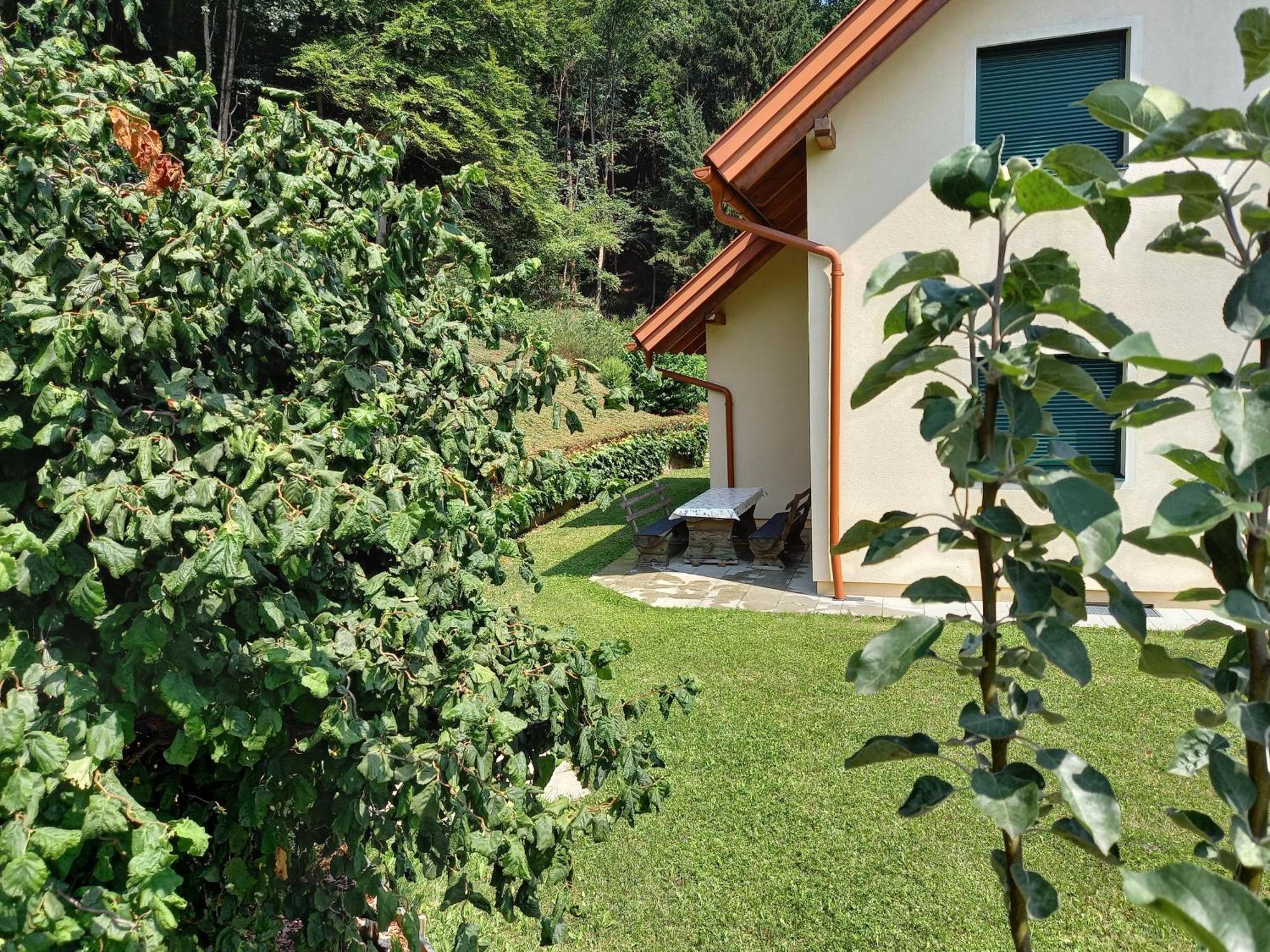 Ferienhaus Manuela Velden am Wörthersee Zewnętrze zdjęcie